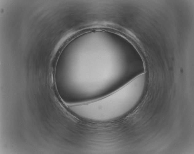 X0000076241368200609280912