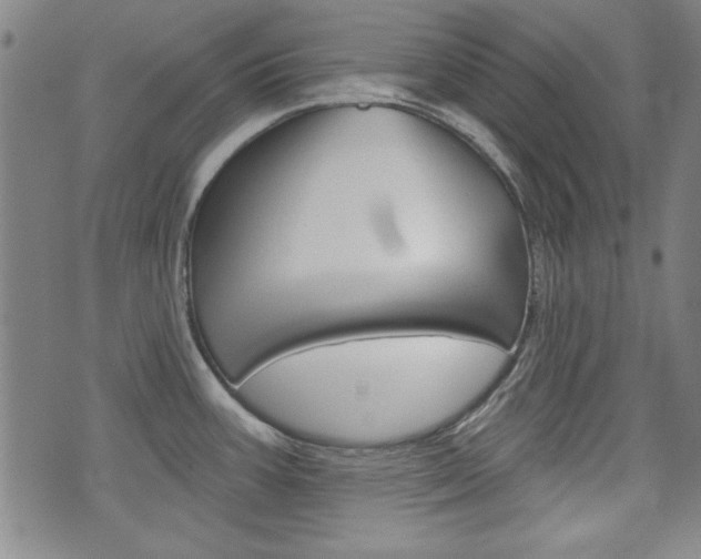 X0000076241387200609280911