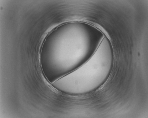 X0000076241388200609280911