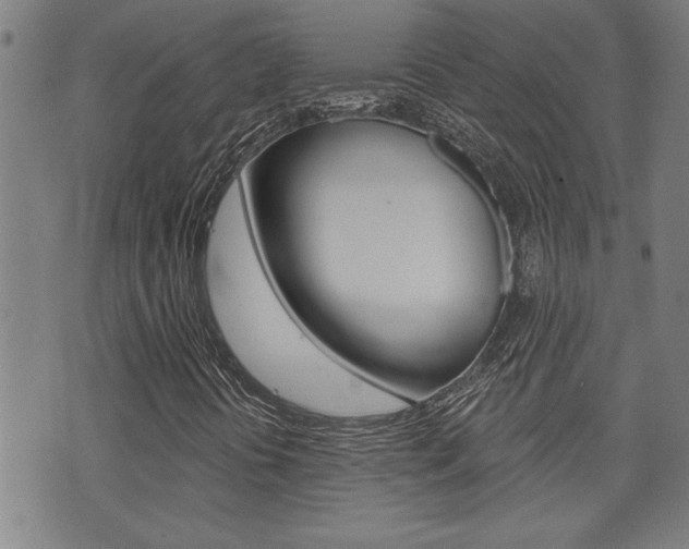 X0000076241394200609280911