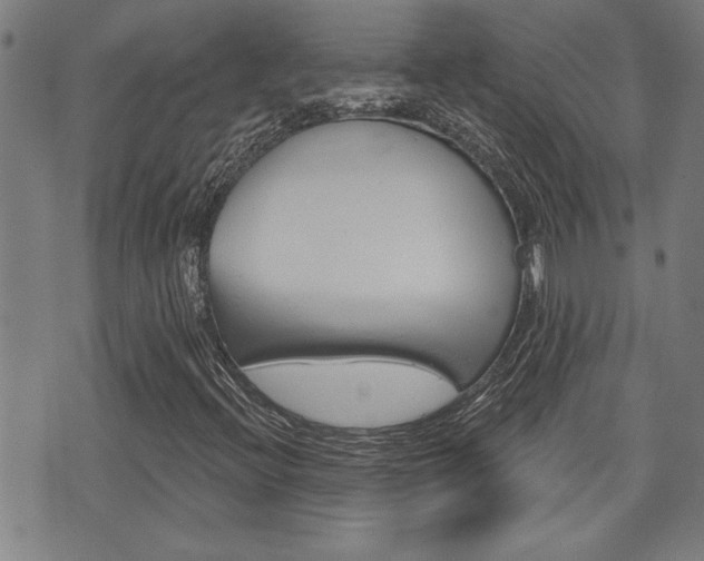 X0000076241396200609280911