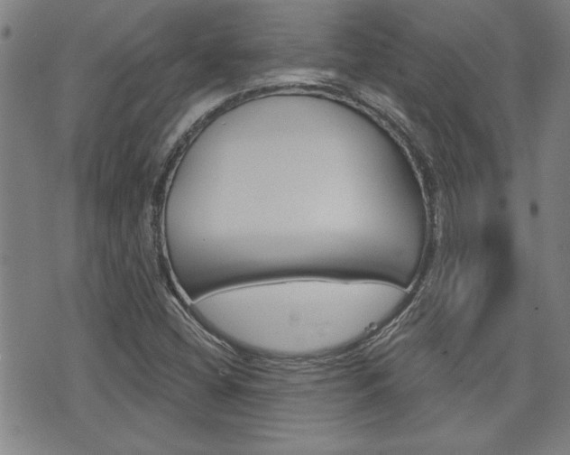 X0000076241404200609280911