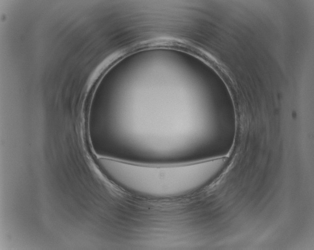 X0000076241418200609280911