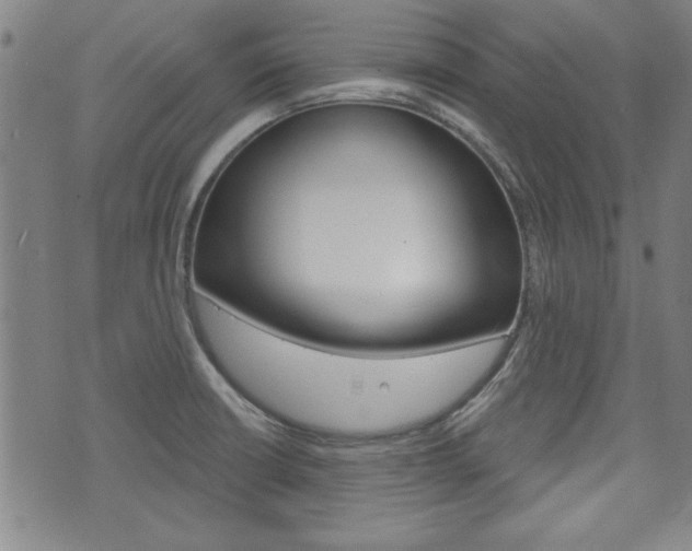 X0000076241426200609280911