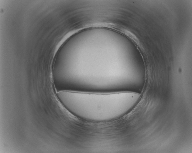 X0000076241428200609280911