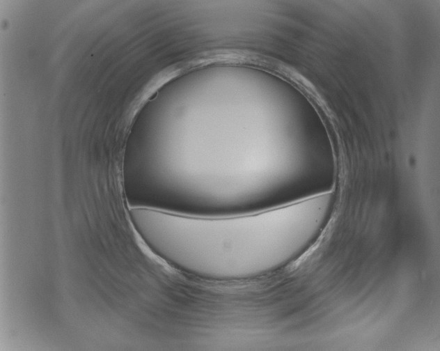 X0000076241433200609280911