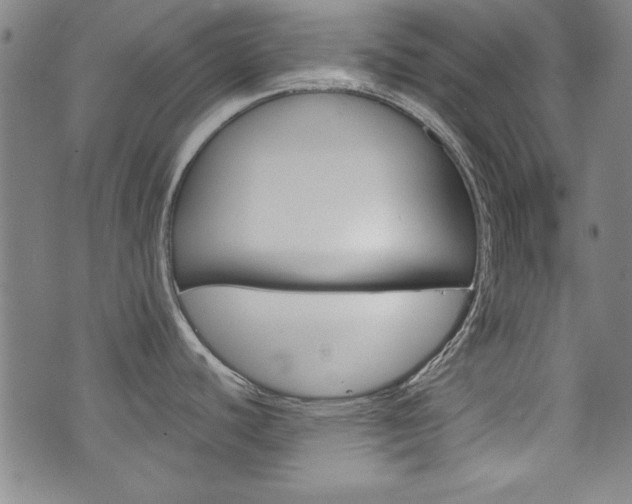 X0000076241440200609280911