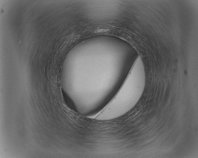 X0000076241441200609280911