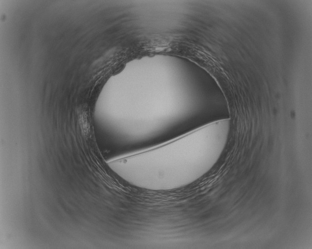 X0000076241442200609280911