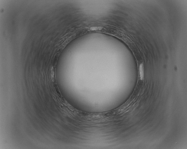 X0000076241443200609280911