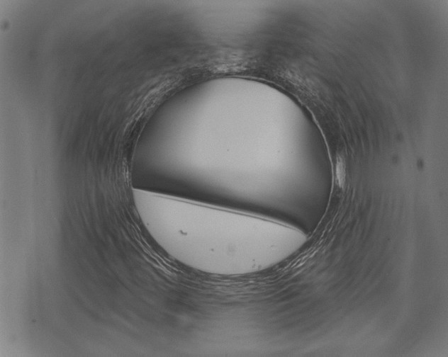 X0000076241444200609280911