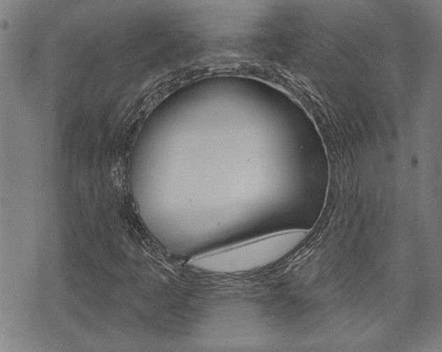 X0000076241445200609280911