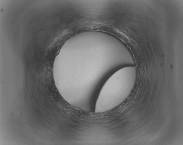 X0000076241447200609280910