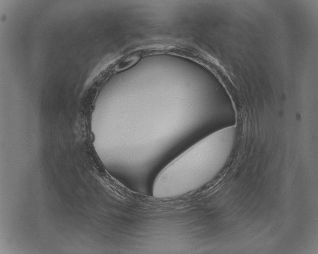 X0000076241448200609280910