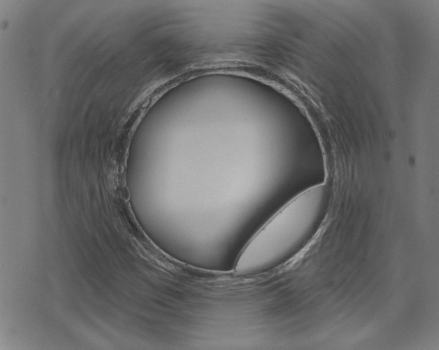 X0000076241449200609280910