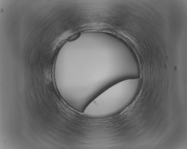 X0000076241451200609280910