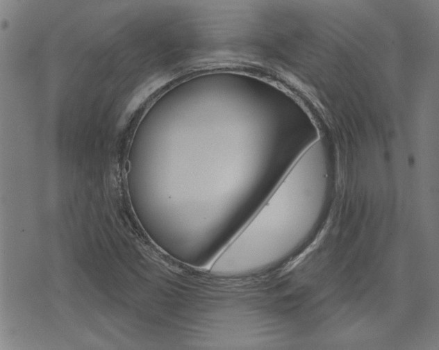 X0000076241453200609280910