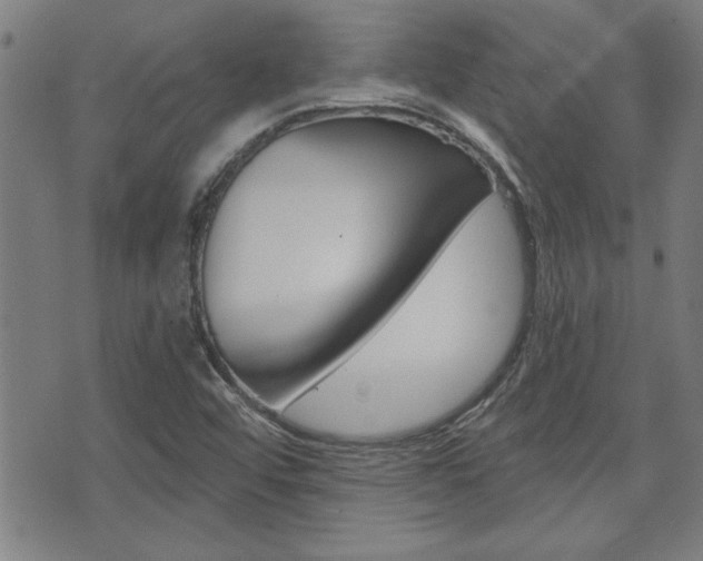 X0000076241456200609280910