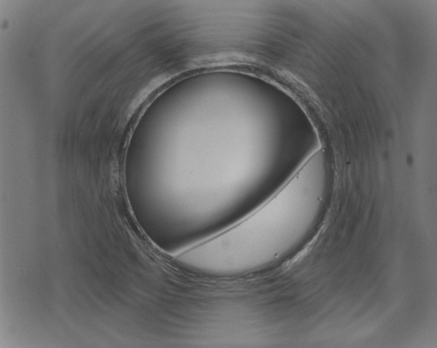 X0000076241457200609280910