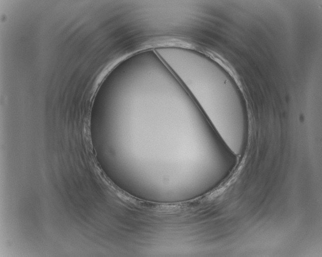 X0000076241481200609280910