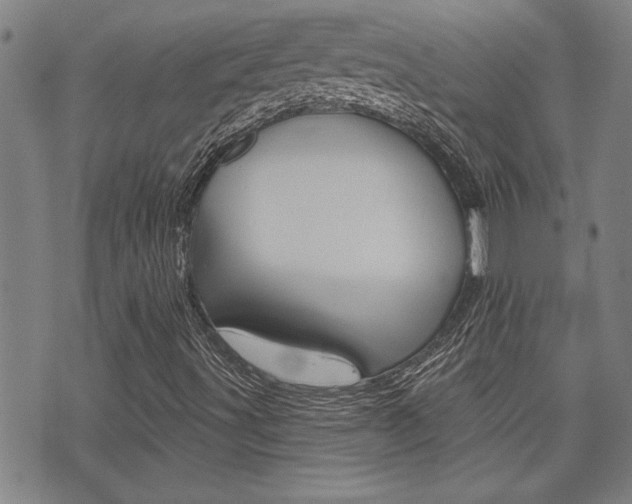 X0000076241491200609280909