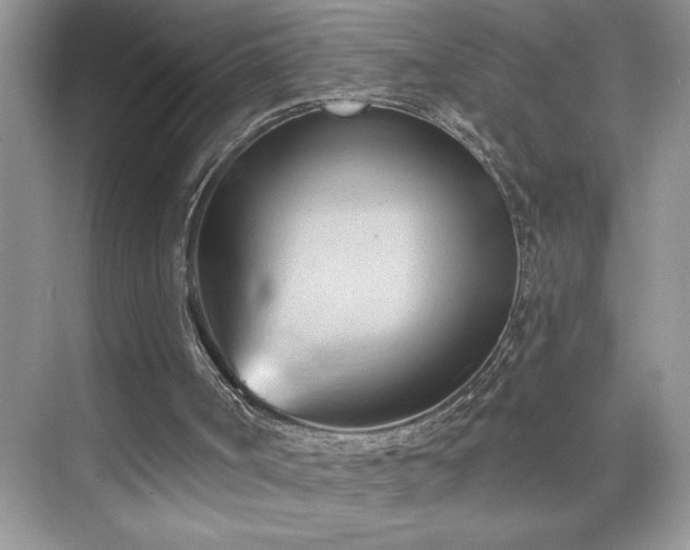 X0000076240002200609281152