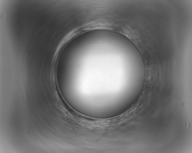 X0000076240004200609281152