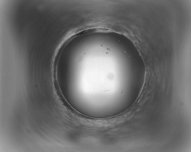 X0000076240006200609281152