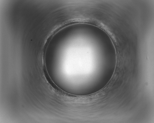 X0000076240011200609281152