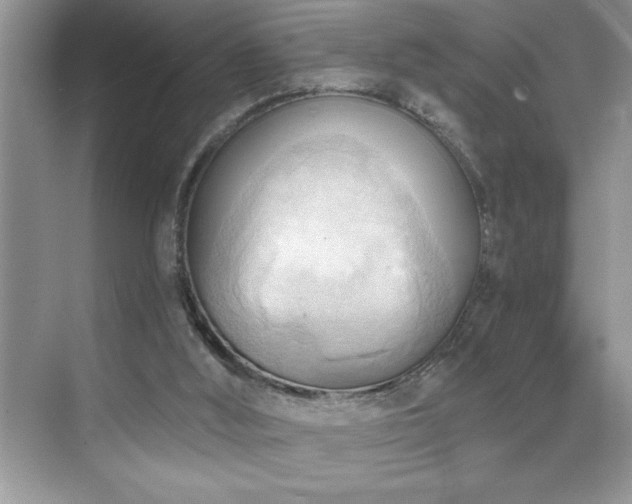 X0000076240012200609281152