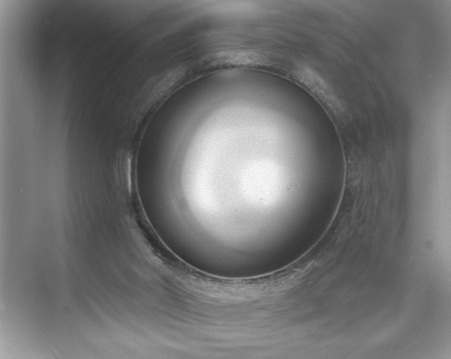 X0000076240014200609281152
