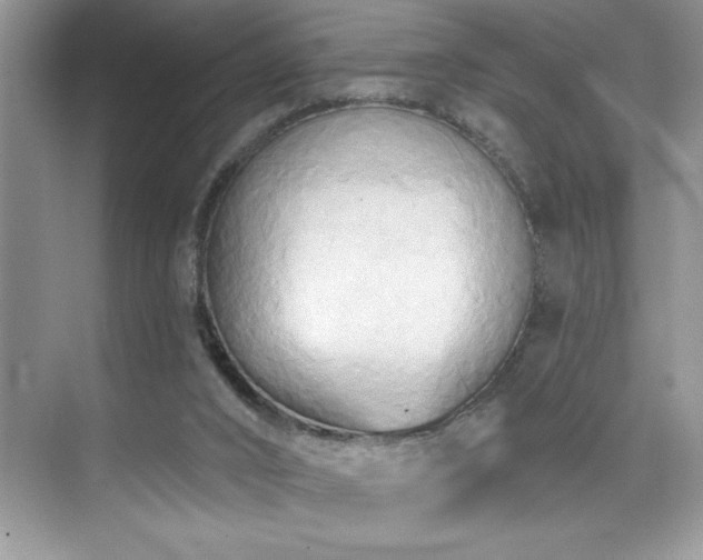 X0000076240016200609281152