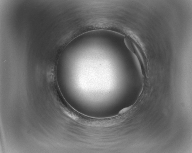 X0000076240017200609281152