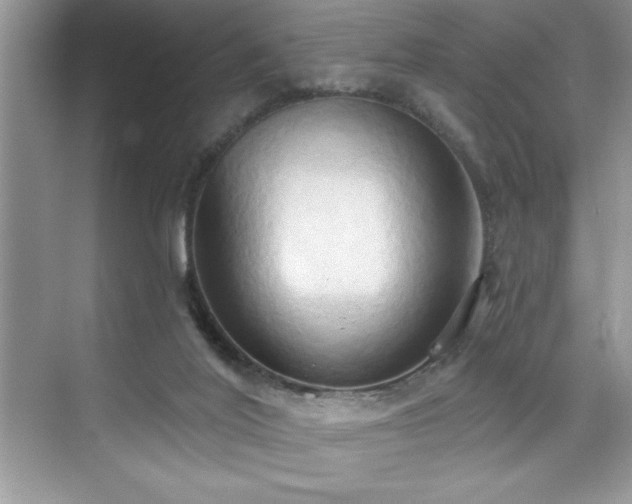 X0000076240020200609281152
