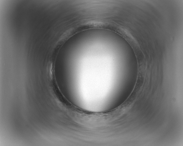 X0000076240024200609281152