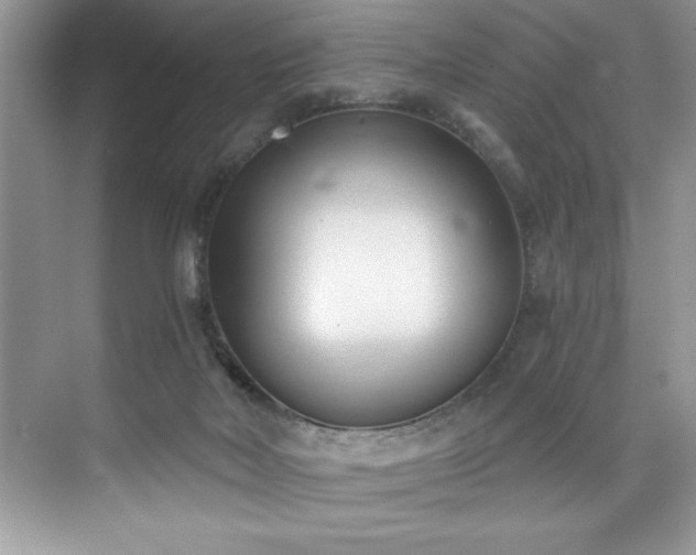 X0000076240026200609281152