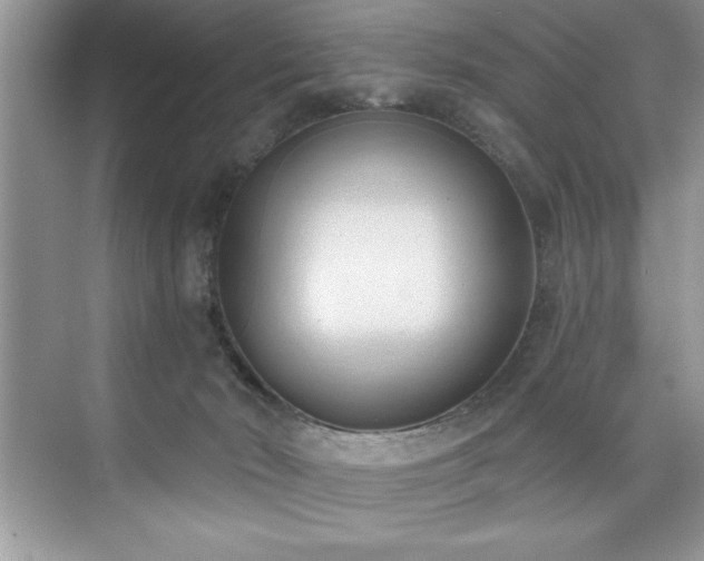 X0000076240030200609281152