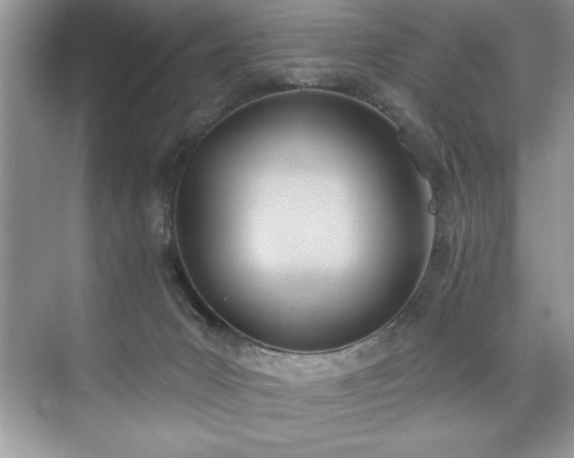 X0000076240031200609281152