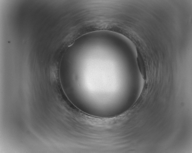 X0000076240035200609281151