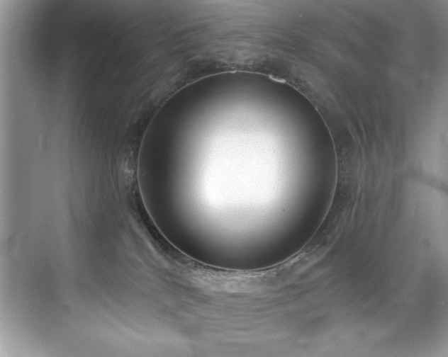 X0000076240040200609281151