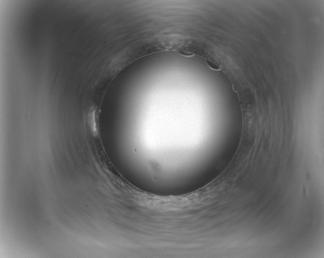 X0000076240042200609281151