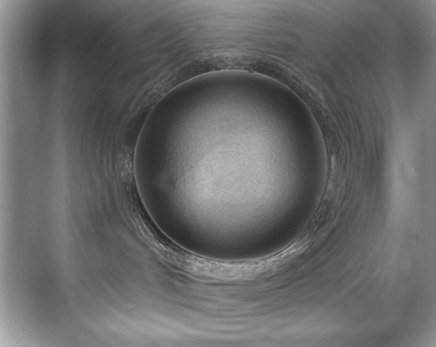 X0000076240048200609281151