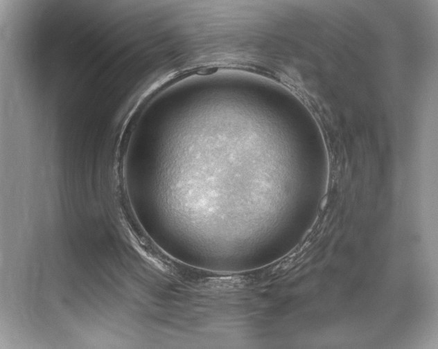 X0000076240050200609281150