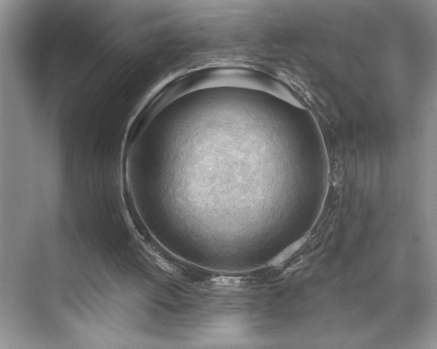 X0000076240052200609281150