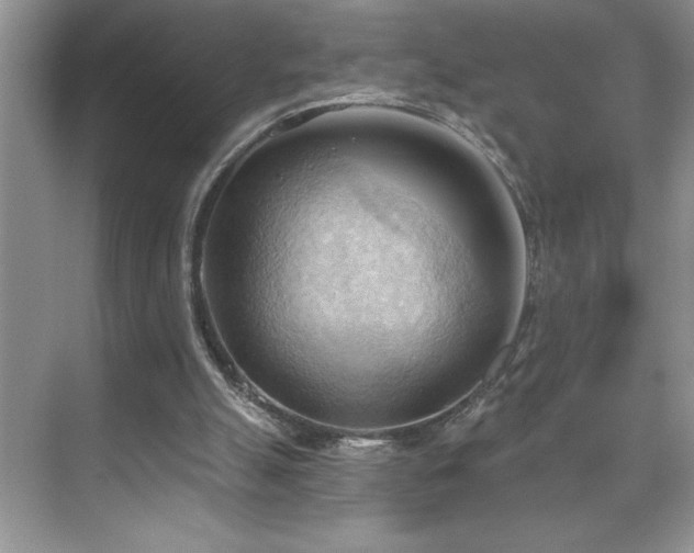X0000076240055200609281151