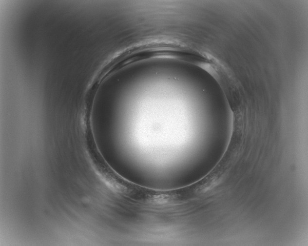 X0000076240064200609281151