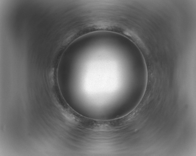 X0000076240066200609281151