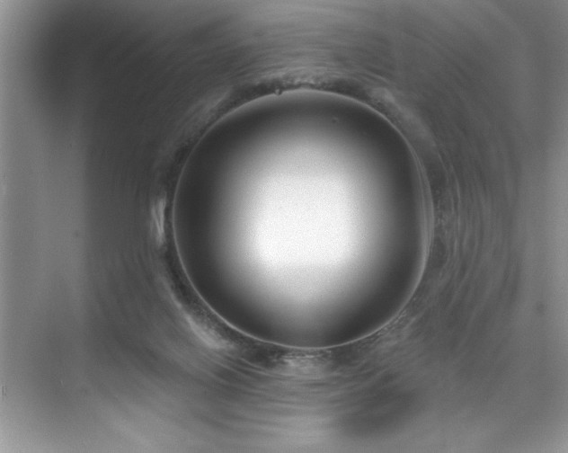 X0000076240070200609281151