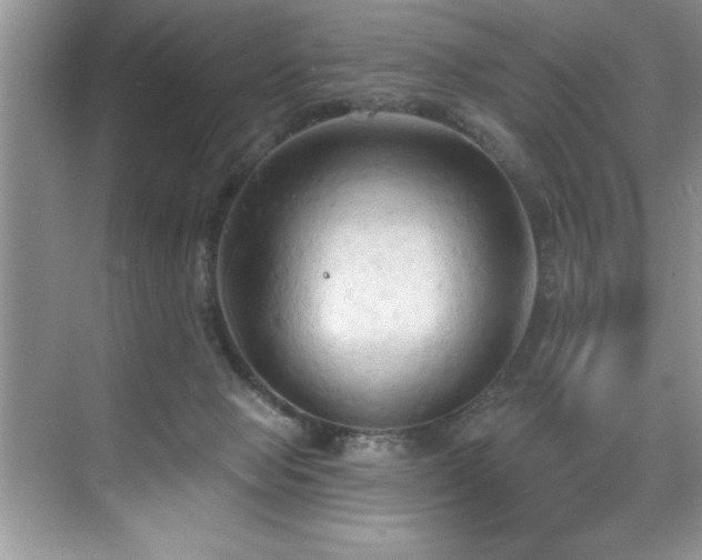 X0000076240077200609281151