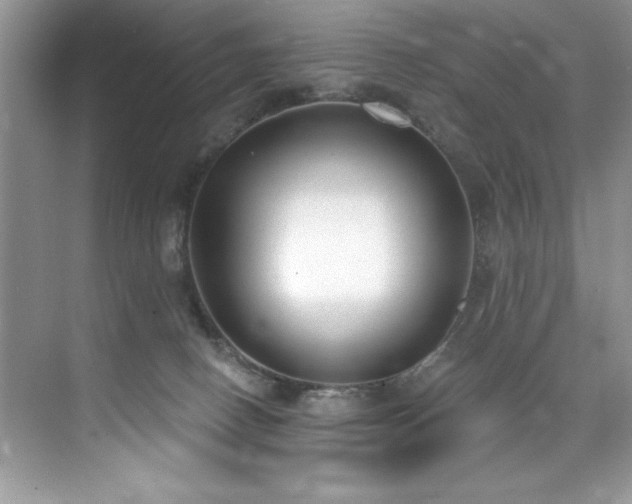 X0000076240082200609281151